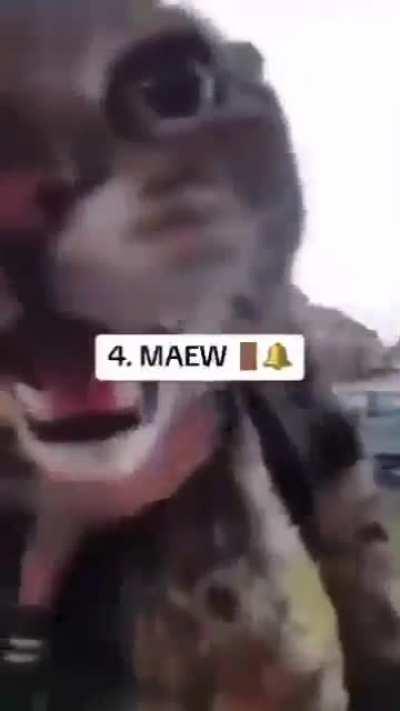 number 10 got robbed 