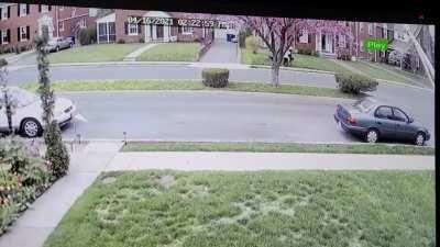 Man saves his dog from two crazy puppers...