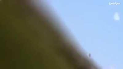 cursed_videomemes - Video #7853