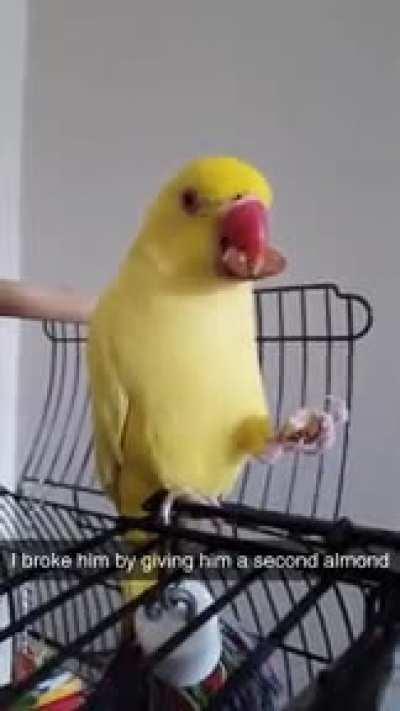 Obvious malfunction in system processes