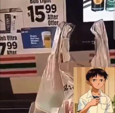 What Shinji was doing after he ran away
