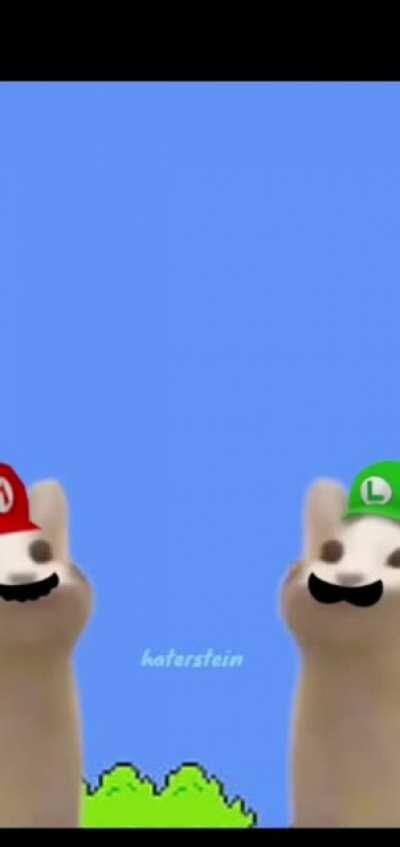 لما احترف الانقلش ويا ننتتدو