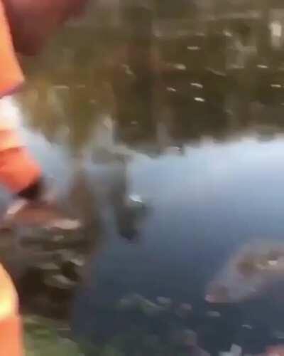 Nearly got the 5 finger discount