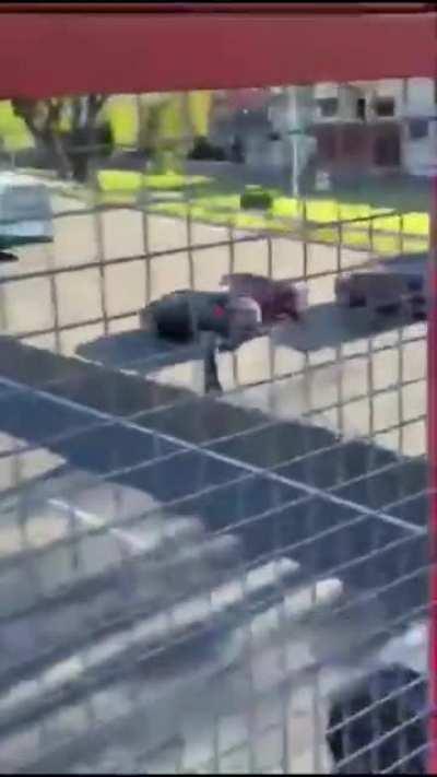 WCGU crossing the highway like Frogger