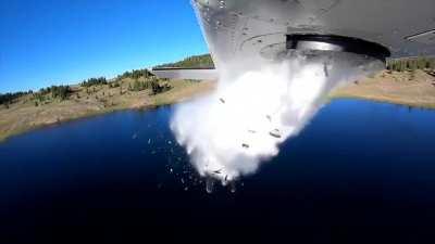 Our people need us. GLORY TO THE LAKE!!!