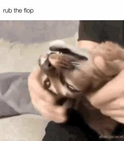 rub the flop