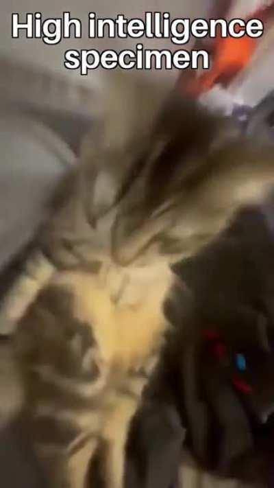 What’s the song rule