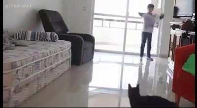 Anybody can beat me!