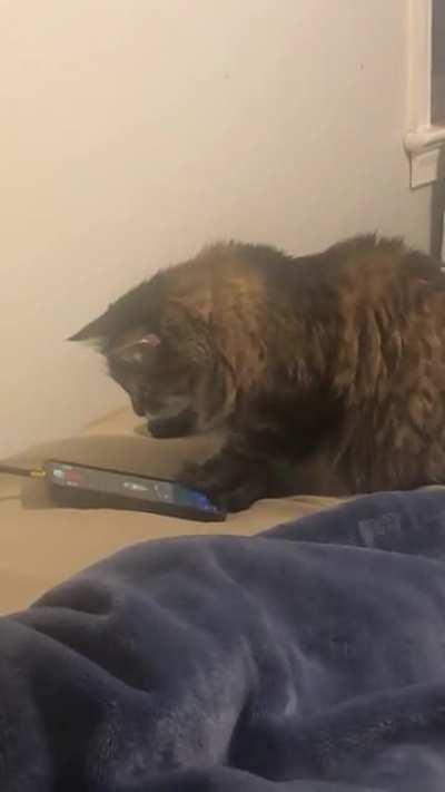 She herself couldn’t believe that she catculated correctly.