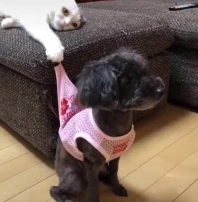 you're not going anywhere