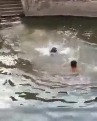 Owner pretends to be drowning to see if his dog would save him