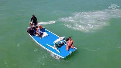 Monique Bertolini - California TV