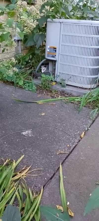 is this baby safe on its own?