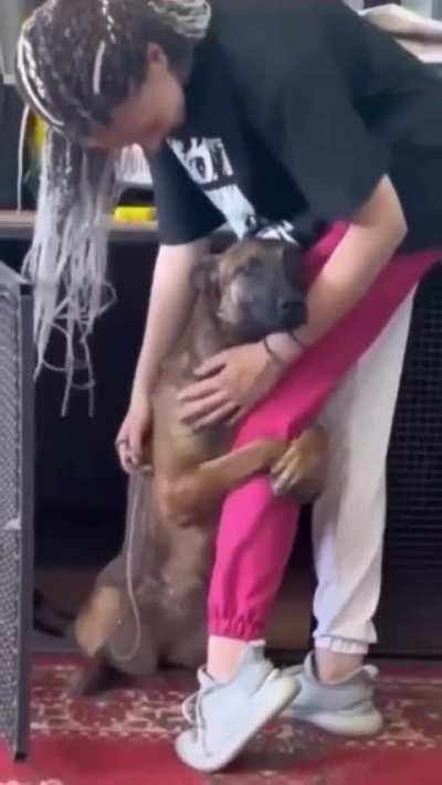 Grateful Dog Hugging The Leg Of Adopter