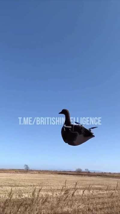 UA POV: Soldiers having fun with their drone, they dressed it up with a rubber duck