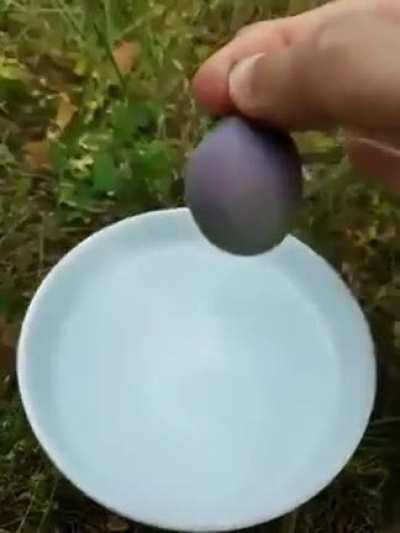 Fruit with epicuticular wax when placed in water