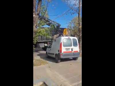 Polémica en Chivilcoy por la compactación de vehículos de Senasa