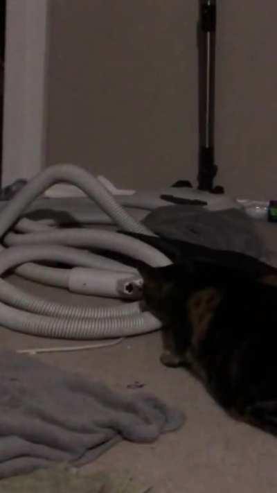 Mysterious and Dangerous vacuum that isn’t actually plugged in