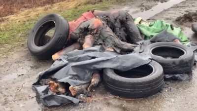 Before Bucha, there was the Zhytomyr Highway.