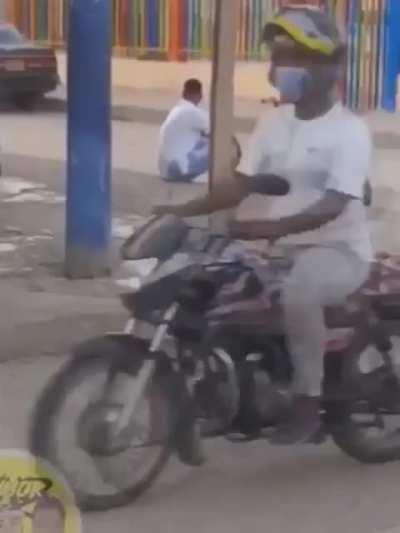 Spartan Revenge Bycicle Antitheft Device