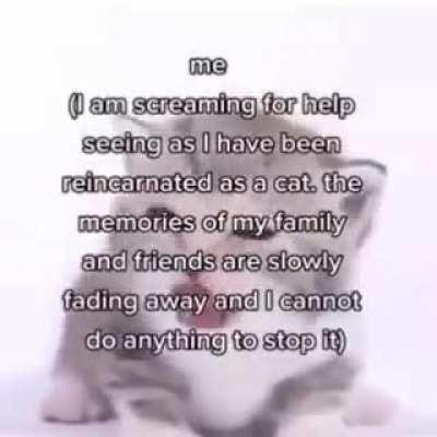 I'm 15 and this is yeet