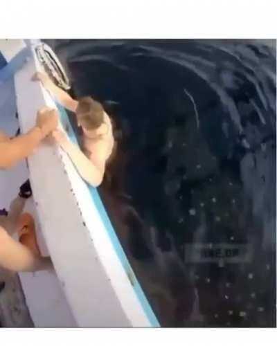 that's what friends are for