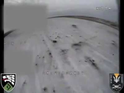 Ukrainian kamikaze drones targeting North Korean soldiers by Kremyanoye, Kursk Oblast. December 2024