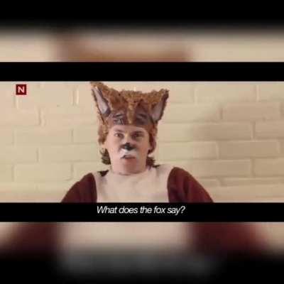 i finally knew what does the fox say