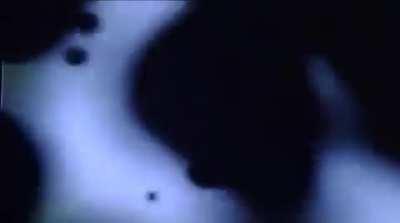 Essa que é a abertura de Benio?