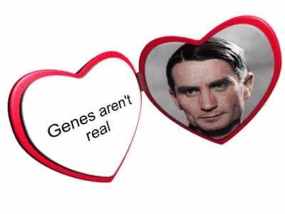 Genes are not real