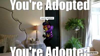 ur adopted (sound warning)