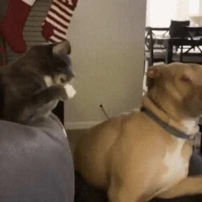 Wake up, its time to die!