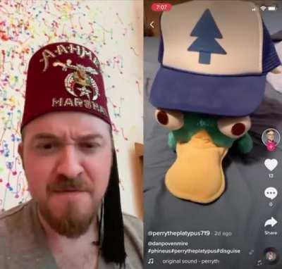 [Dan Povenmire] DIPPER THE PLATYPUS?