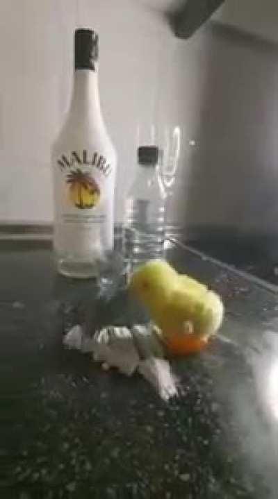 Patinho do muquinha ?