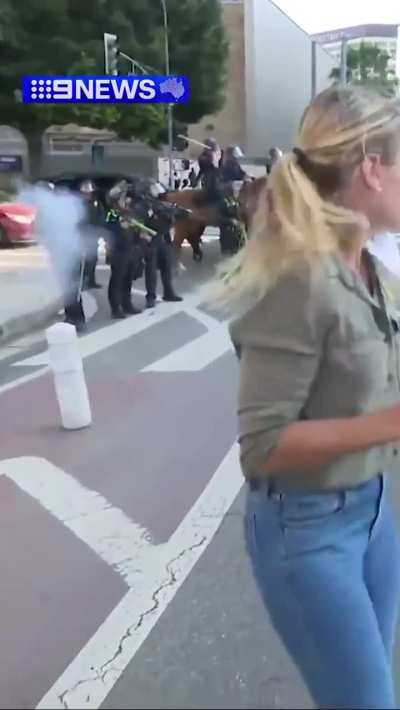 LAPD shot an Australian news reporter in the leg with rubber bullet