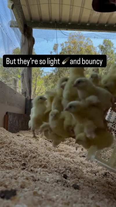 I see. It’s better and safer that way 💕