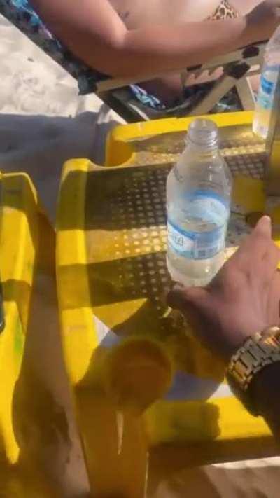 Магия отдыха