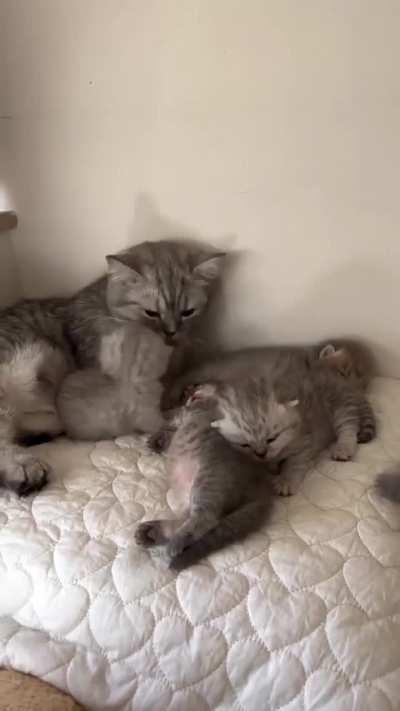 It's her first time, young mother