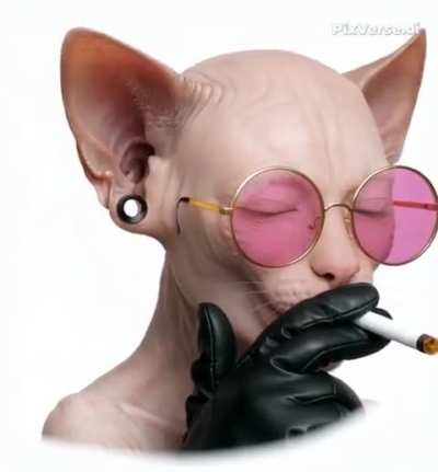 Não é perfeito, mas eu aceito!