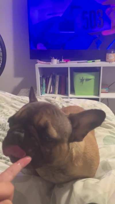 Declined going out tonight to share cottage cheese with Rigatoni and watch The Substance. The Substance for Rigatoni is cottage cheese lol