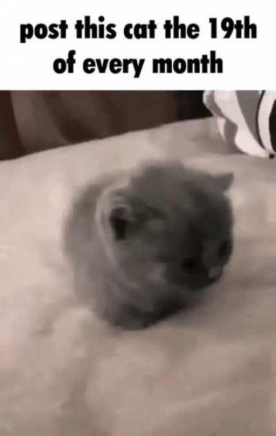 THAT TIME OF THE MONTH AGAIN!!!!