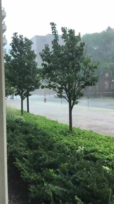 Perfect day for studying. (Loud)