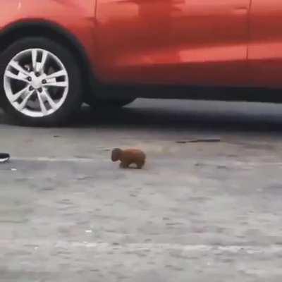 Buenas tardes a todos <3