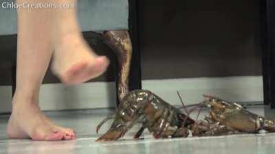 Barefoot will always be the best 