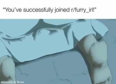 furry_irl