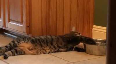 This Is A Whole New Level Of Laziness!