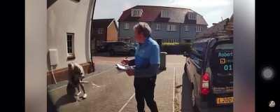 Lady saves dog after falling out of a window