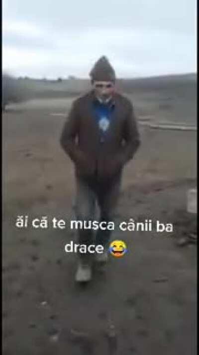 ai că te mușcă cânii bă drace