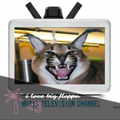 floppa at da club??! 😳😳