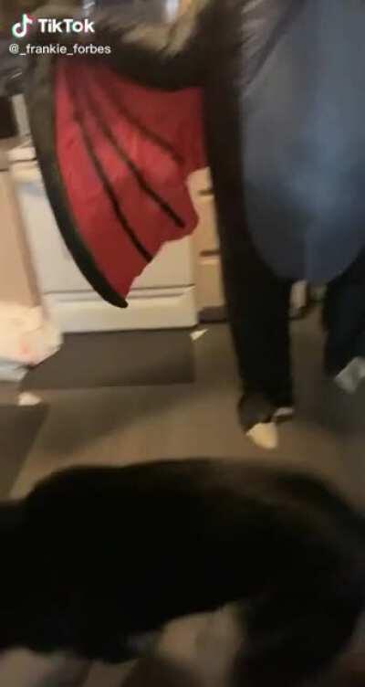 “This aint Santa”